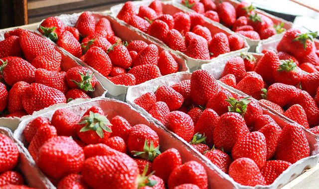 Schalen voller frischer, leuchtend roter Erdbeeren